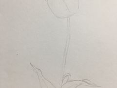 -黑骏画室·深圳美术中高考黄埔军校