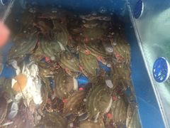 -宾朋海鲜特色美食餐厅·纯手工鲅鱼水饺(兴海路店)