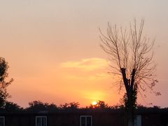 -天津妈祖文化园