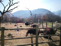 -西安秦岭野生动物园