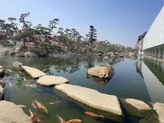 -罗红摄影艺术馆