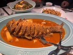 -阿五黄河大鲤鱼(英协路店)
