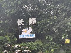 -广州长隆飞鸟乐园