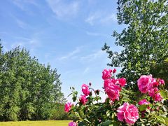 -游子山休闲旅游区