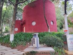 -铁山坪森林公园