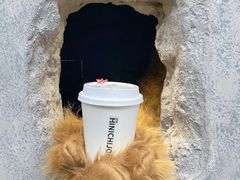 -茶是一枝花泡茶店