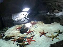 -福州罗源湾海洋世界旅游区