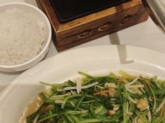 -新峰肉骨茶