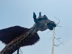 -济南野生动物世界