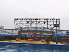 -海合安青岛极地海洋公园