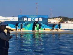 -秦皇岛乐岛海洋王国