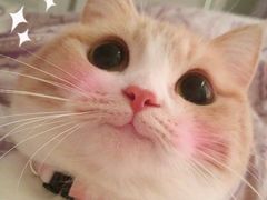 -胡仁根胡记炸炸炸