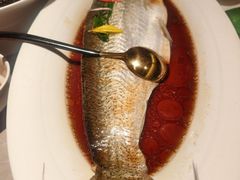 -醉庐·新上海菜(南京西路店)