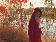 -昆山城市生态森林公园