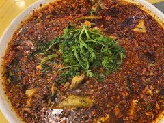 -胖大姐黄辣丁鱼庄(新津店)