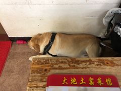 -大地土窑菜馆·特色罗浮农家菜(罗浮山景区店)