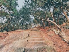 -南京市无想山景区