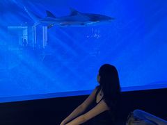 -波塞冬旅游度假区