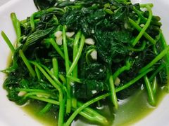 番薯叶-良友水鱼城