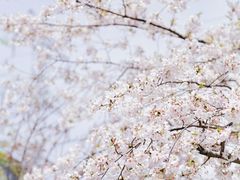 -西北湖绿化广场