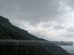 -呀诺达热带雨林