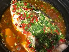 -金掌勺·锅包肉(广渠门店)