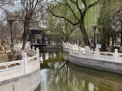 -桃花堤公园