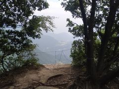 -云顶茶乡景区