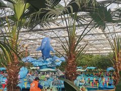 -南宫五洲植物乐园