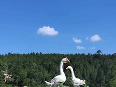 -小板凳(四公里店)