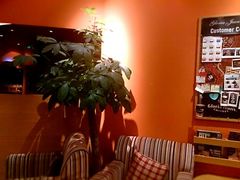 android_upload_pic-Gloria Jean's Coffees