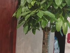-裕和堂中医推拿艾灸(太古汇臻品店)