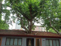 -上海孙中山故居纪念馆