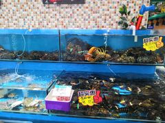 水产区-港畔赶海蒸汽海鲜烧烤自助(仙螺岛店)