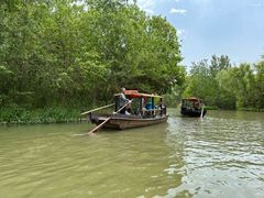 -溱湖国家湿地公园