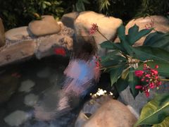 -台山颐和温泉城