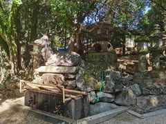 -奈良公园