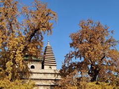 -北京石刻艺术博物馆(五塔寺)