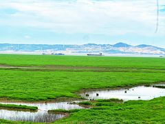 -鄱阳湖国家湿地公园