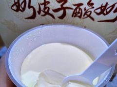 -紫光园烤鸭(前门大栅栏店)