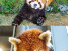 -常州淹城野生动物世界