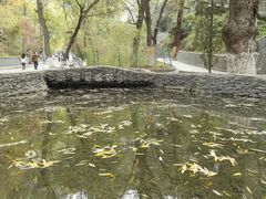 -五泉山公园