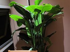 -竹犇番茄火锅(长风街店)