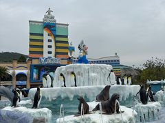 -珠海长隆海洋王国
