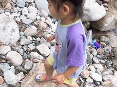 -沣峪口