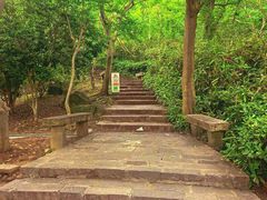 -南京市江宁方山