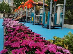 -蓝莓果幼儿园(通州梨园店)