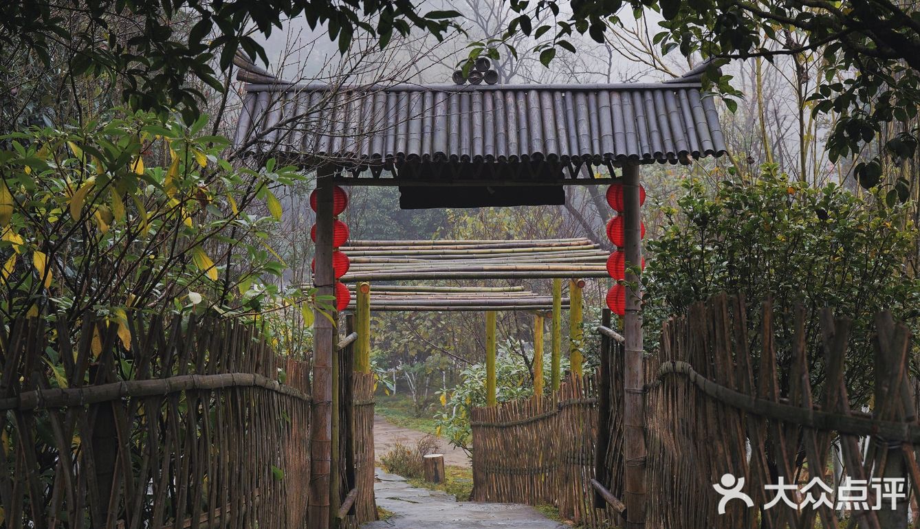 常德 | 隐居在桃花源🍃推开窗便是绿树田园