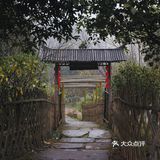 常德 | 隐居在桃花源🍃推开窗便是绿树田园