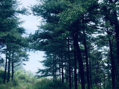 -妙峰山风景名胜区